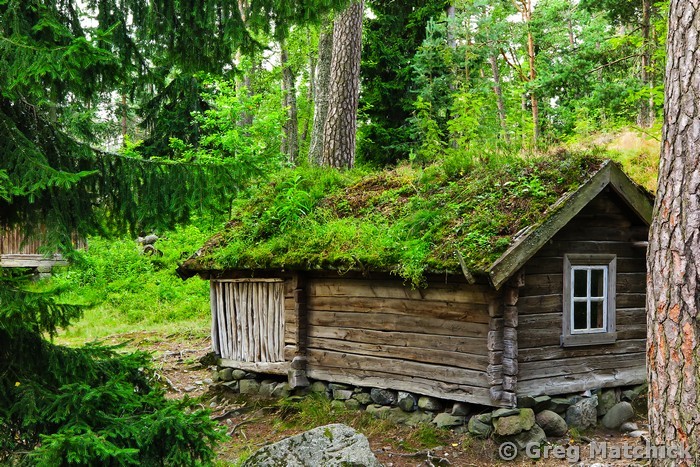 Photographs of Finland - Suomenlinna Island, Helsinki, Woodlands